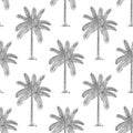 palm tree seamless pattern coconut tree vector island tropical summer ocean beach scarf isolated tile background repeat Royalty Free Stock Photo