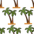 Palm tree seamless pattern Egypt beach resort