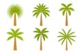 Palm tree set isolated on white background for summer and tropical concept Royalty Free Stock Photo