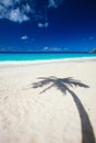 Palm tree shadow on beach Royalty Free Stock Photo