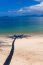 Palm tree shadow on the beach Royalty Free Stock Photo