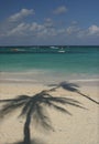 Palm tree shadow on beach Royalty Free Stock Photo