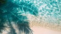 Palm tree shadow on beach, natural environment casting electric blue hue Royalty Free Stock Photo