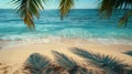 Palm Tree Shadow on Beach Royalty Free Stock Photo