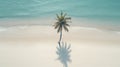 Palm tree with shadow, on a beautiful empty sand beach. Calm turquoise ocean with soothing waves. Tropical nature. Generative AI Royalty Free Stock Photo