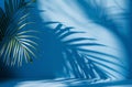 Palm Tree Shadow on Blue Wall
