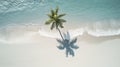 Palm tree with shadow, on idyllic empty beach with white sand. Calm turquoise sea with soft waves. Tropical nature. Generative AI Royalty Free Stock Photo