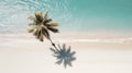 Palm tree with shadow, on idyllic empty beach with white sand, on a warm sunny day. Calm turquoise sea. Generative AI Royalty Free Stock Photo