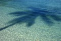 Palm tree shadow in sea sand of pure water beach Background