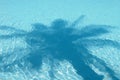 Palm tree shadow on water Royalty Free Stock Photo