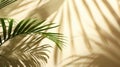 Palm Tree Shadows on Beige Wall Royalty Free Stock Photo