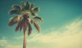 a palm tree is shown against a blue sky with clouds Royalty Free Stock Photo