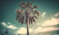 a palm tree is shown against a blue sky with clouds Royalty Free Stock Photo