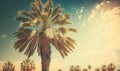 a palm tree is shown against a blue sky with clouds Royalty Free Stock Photo