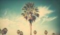 a palm tree is shown against a blue sky with clouds Royalty Free Stock Photo