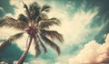 a palm tree is shown against a blue sky with clouds Royalty Free Stock Photo