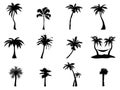 Palm tree Silhouette