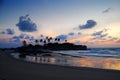 Palm tree silhouette at the beach during nightfall. Royalty Free Stock Photo