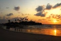 Palm tree silhouette at the beach during orange sunset and clouds in the sky. Royalty Free Stock Photo