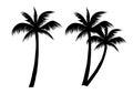 Palm Tree Silhouette Black And White Vector Illustration