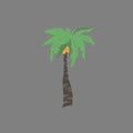 palm tree silhoute in tropical island Royalty Free Stock Photo
