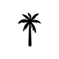 Palm tree silhouette icon vector