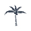 Palm Tree Silhouette Icon Vector Isolated On White.