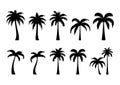 Palm tree silhouette set vector illustrations Royalty Free Stock Photo