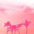 Palm tree silhouette pink pastel sky with copy space summer concept