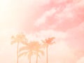 Palm tree silhouette pink pastel sky with copy space summer concept