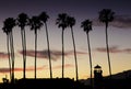 Palm tree silhouette in Santa Barbara