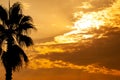 Palm tree silhouette on sunset tropical sky Royalty Free Stock Photo