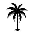 PALM TREE SILHOUETTE VECTOR