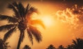 a palm tree is silhouetted against a sunset in a tropical setting with clouds in the sky and sun shining down on the palm trees Royalty Free Stock Photo