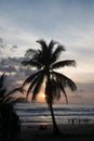 Palm tree and silhouettes of people walking on the beach during sunset Royalty Free Stock Photo