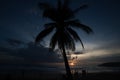 Palm tree and silhouettes of people walking on the beach during sunset Royalty Free Stock Photo