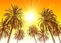 Palm Tree Silhouettes On Sunset Background