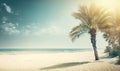 a palm tree sitting on top of a sandy beach next to the ocean Royalty Free Stock Photo