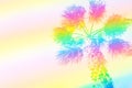 Palm tree on sky background toned in rainbow colors. Surrealistic funky style. Copy space for text. Beach vacation wanderlust