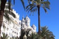 Palm tree skyline