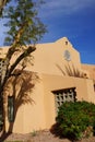 Palm tree and Southwestern architecture