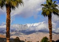 Palm tree and a springtime mountain range