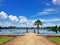 Palm Tree at Srah Srang Baray Royalty Free Stock Photo