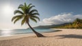 Palm tree is standing on a beach with a clear blue sky above Royalty Free Stock Photo