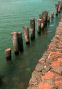 The palm tree stem fence in the river arasalaru near karaikal beach. Royalty Free Stock Photo