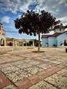 Palm Tree in Stone Courtyard under Clear Blue Sky Royalty Free Stock Photo