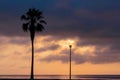 Palm tree and street lamp, heavy dramatic clouds and bright sky. Royalty Free Stock Photo