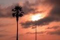 Palm tree and street lamp, heavy dramatic clouds and bright sky. Royalty Free Stock Photo