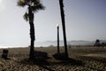 Palm tree and street lantern at venice beach Royalty Free Stock Photo