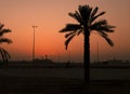 Palm Tree And Street Lights In Dark Sunset. Photo Taken From Bahrain Asker Beach